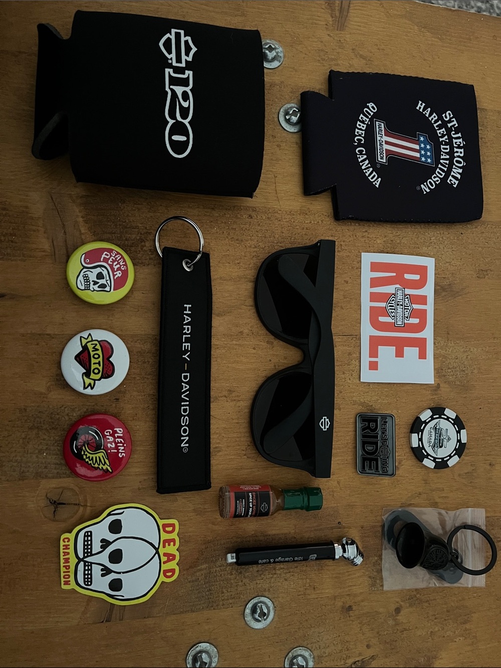 Harley-Davidson Swag Grab !!